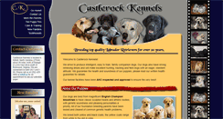 Desktop Screenshot of castlerocklabs.com